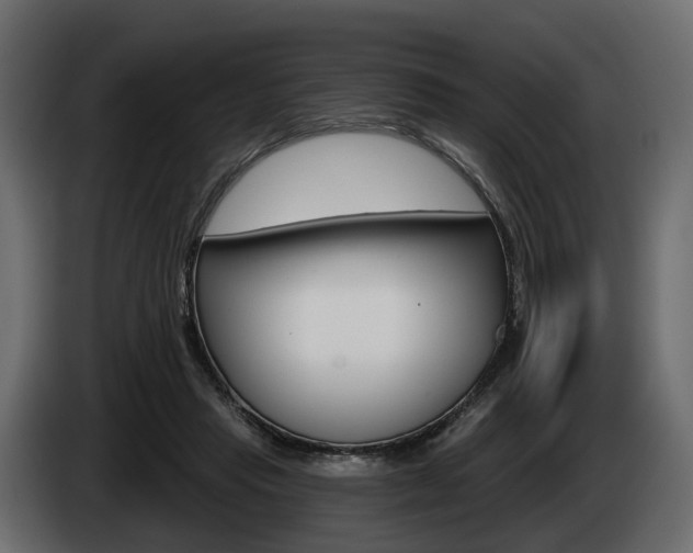X0000085040453200703051028