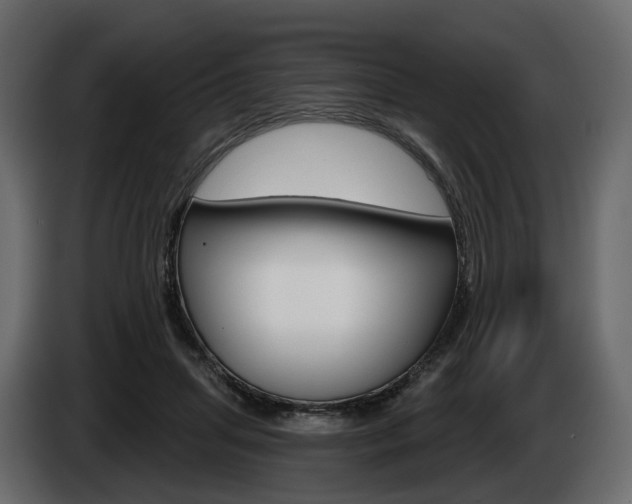 X0000085040455200703051028