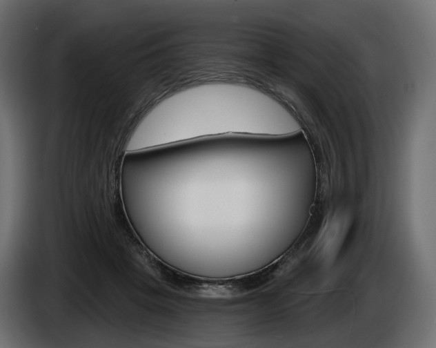 X0000085040457200703051028