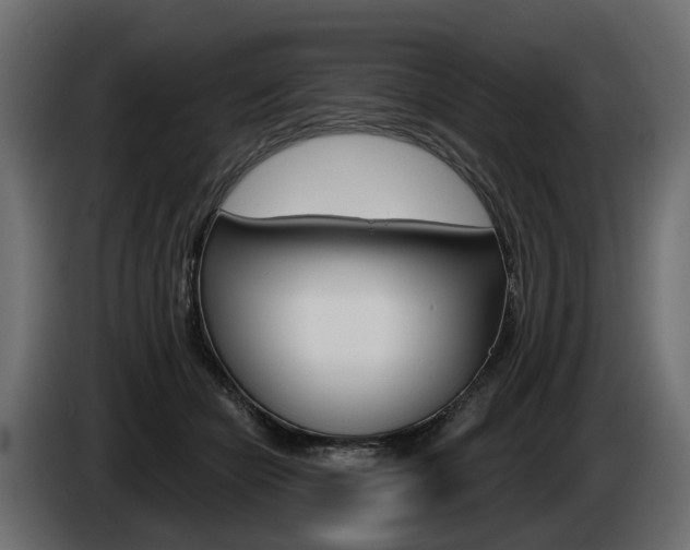 X0000085040462200703051028