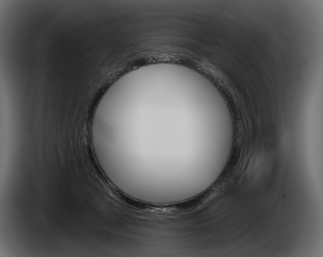 X0000085040465200703051029