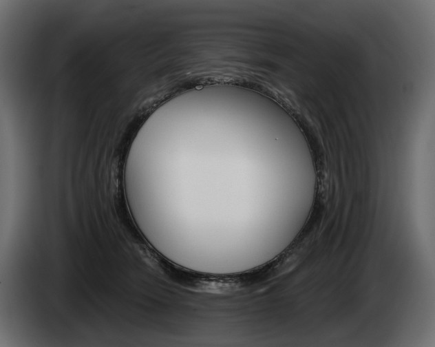 X0000085040466200703051029