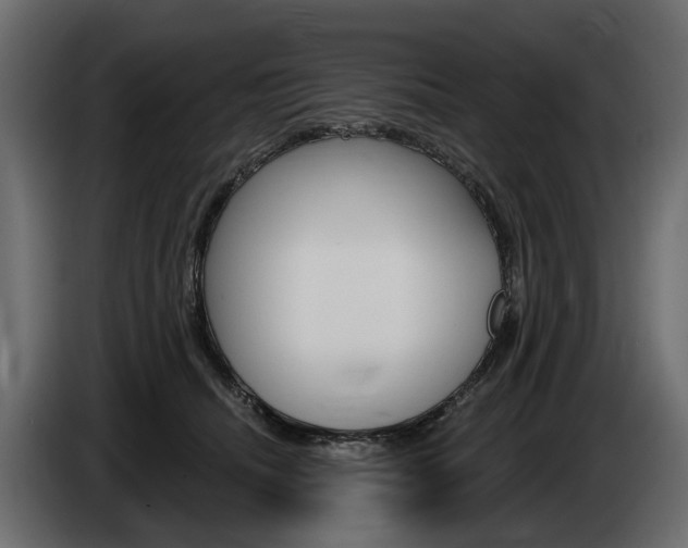 X0000085040468200703051029