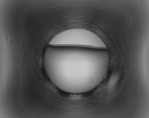 X0000085040469200703051029