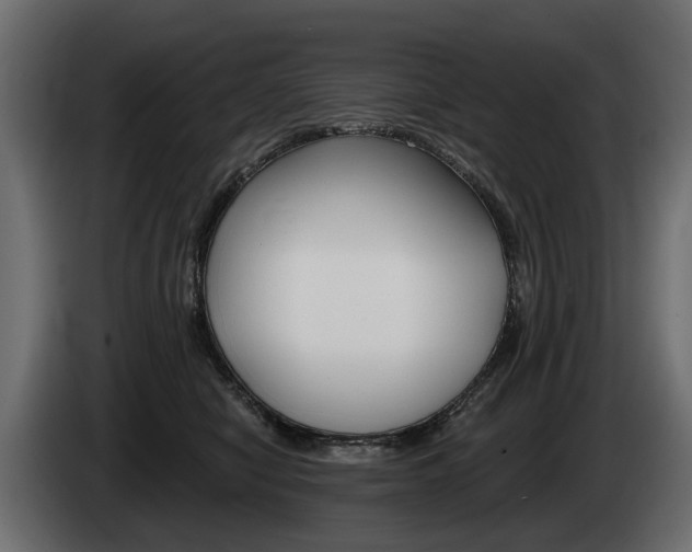 X0000085040470200703051029