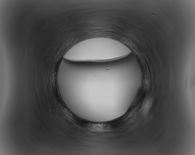 X0000085040473200703051029