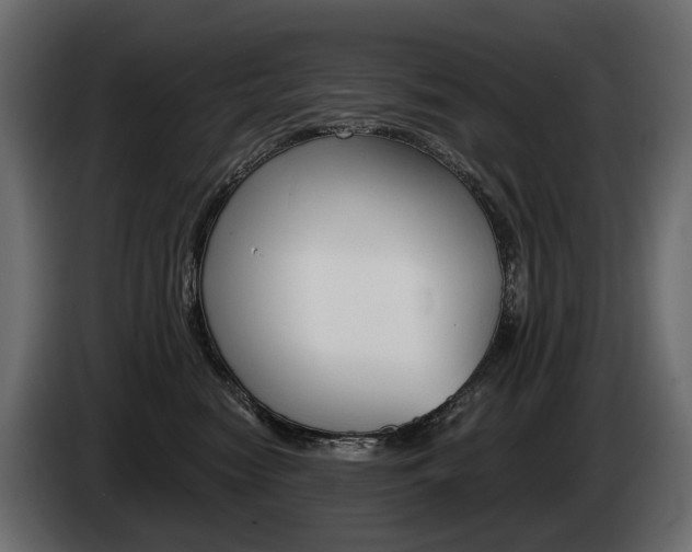 X0000085040474200703051029