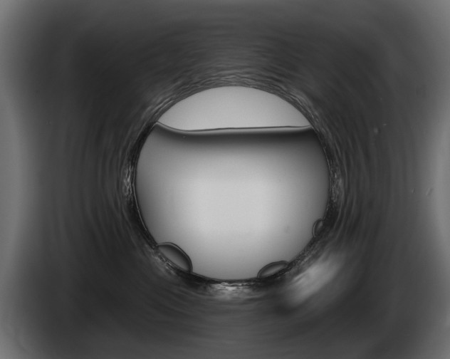 X0000085040477200703051029