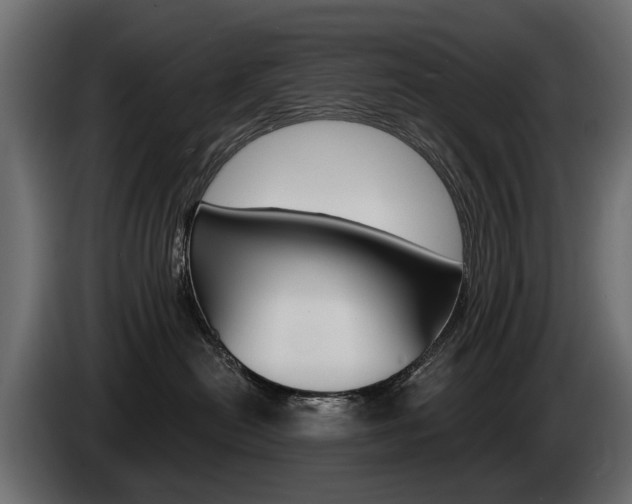 X0000085040478200703051029