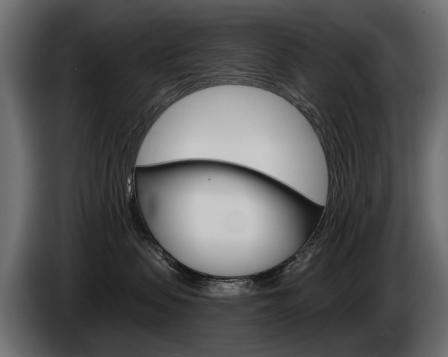 X0000085040479200703051029