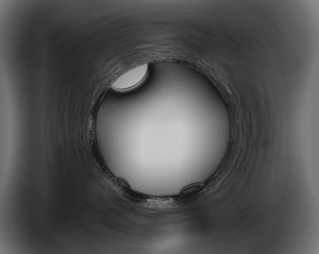 X0000085040480200703051029