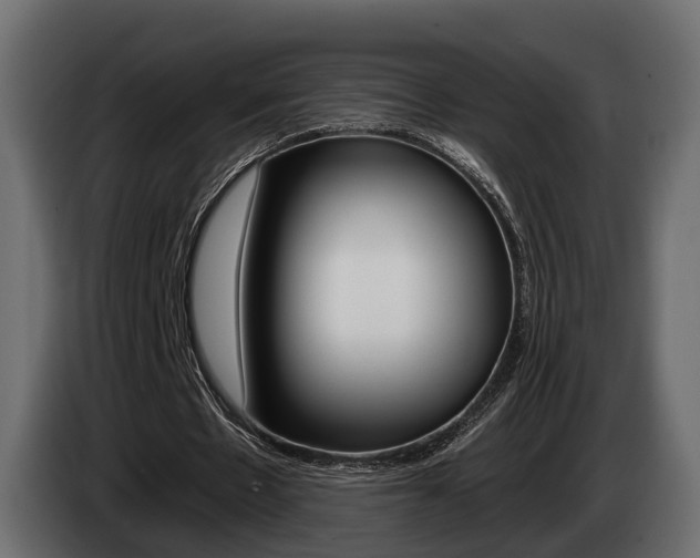 X0000085040481200703051028