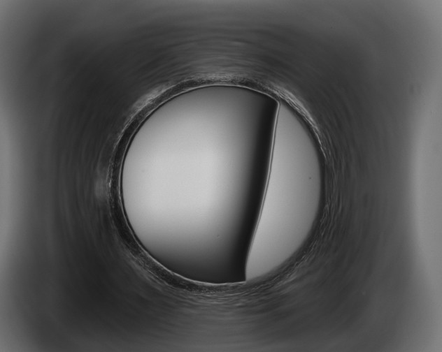 X0000085040483200703051028