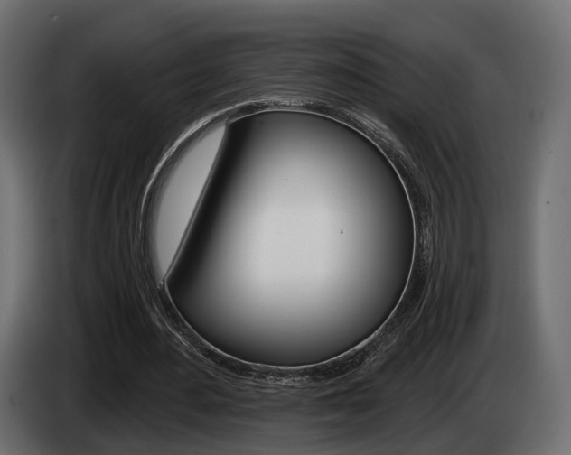 X0000085040484200703051028