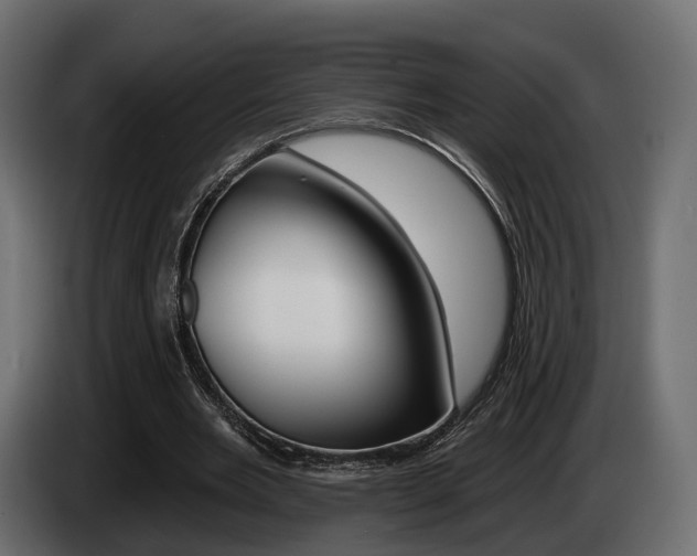 X0000085040485200703051028