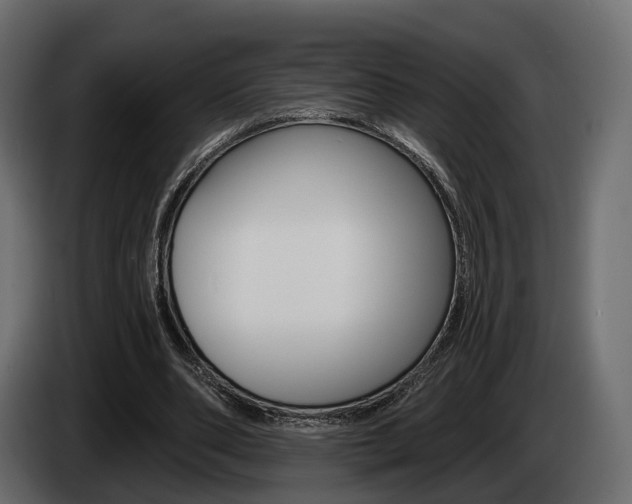 X0000085040486200703051028
