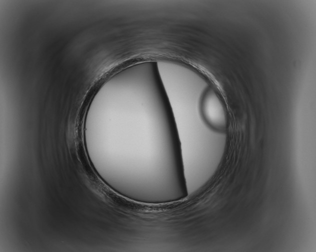 X0000085040487200703051028