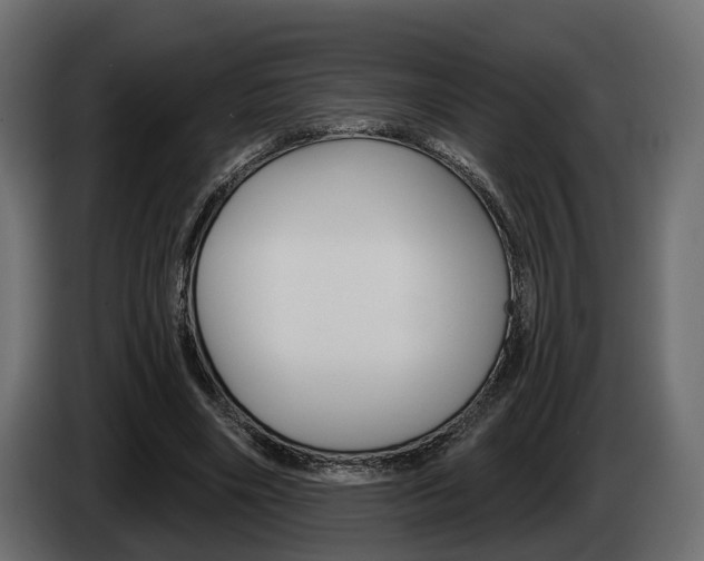 X0000085040490200703051028