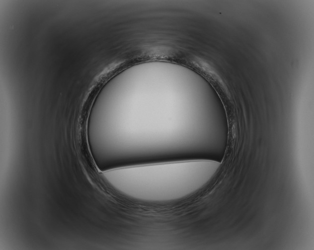 X0000085040492200703051028