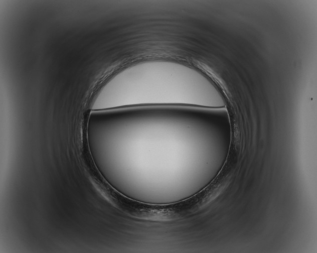 X0000085040493200703051028