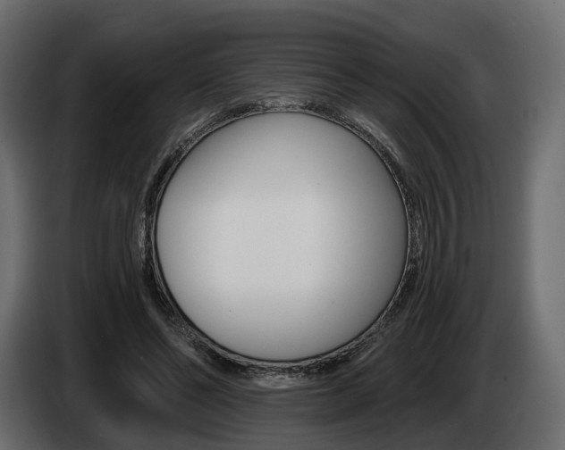 X0000085040494200703051028