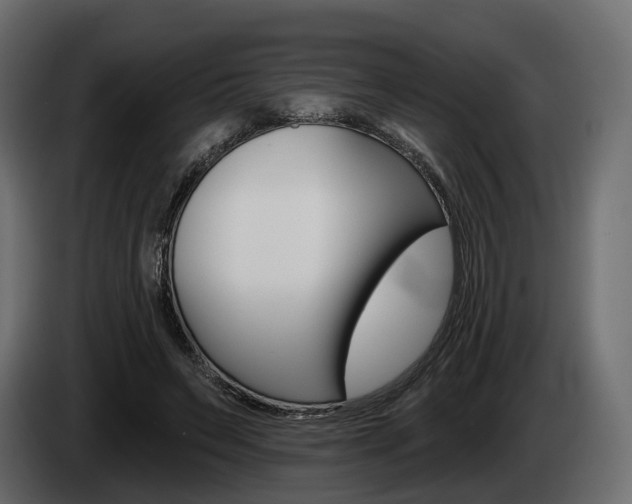 X0000085040495200703051028