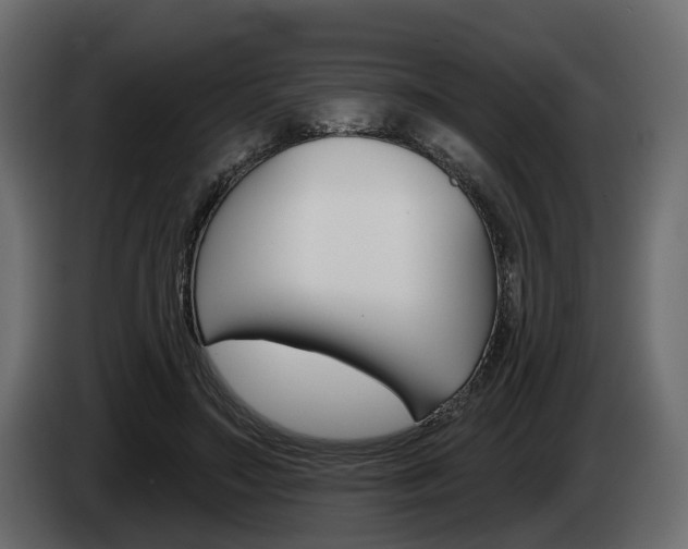X0000085040499200703051028