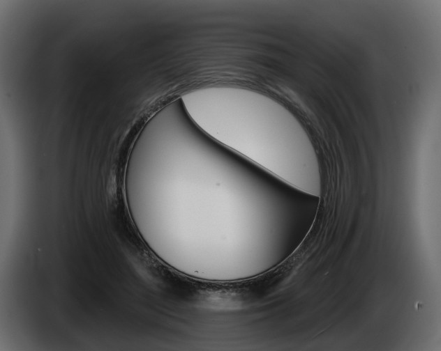 X0000085040500200703051028