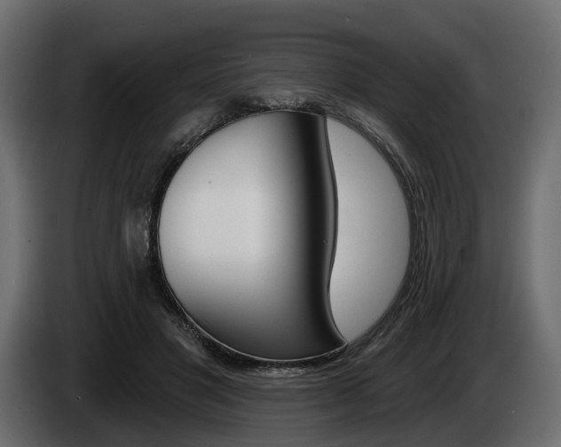 X0000085040501200703051028