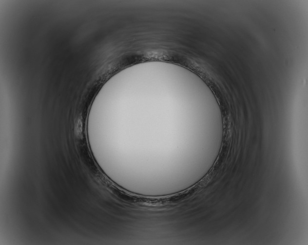 X0000085040502200703051028
