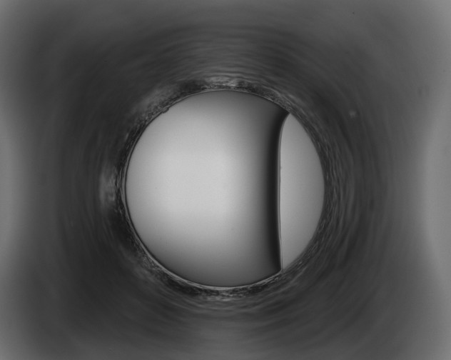X0000085040504200703051028