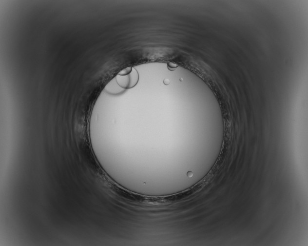 X0000085040510200703051028