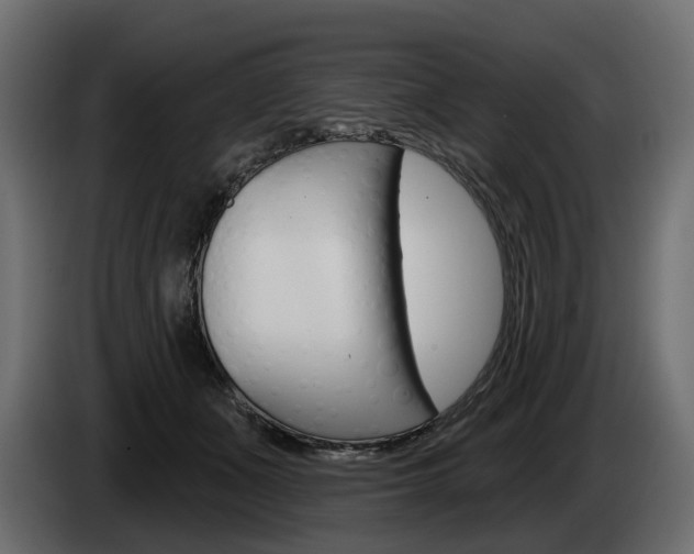 X0000085040511200703051028