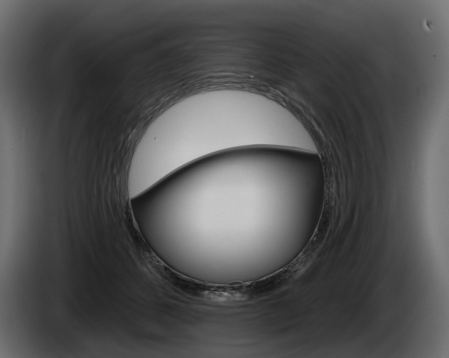 X0000085040512200703051028
