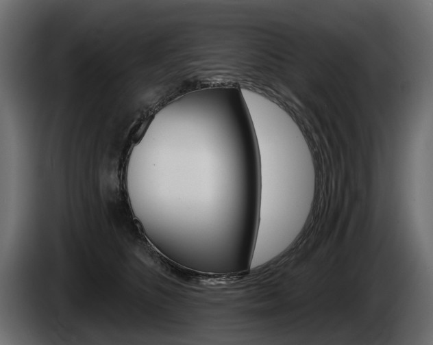 X0000085040516200703051028