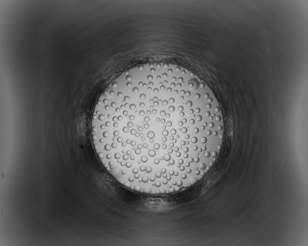 X0000085040519200703051028
