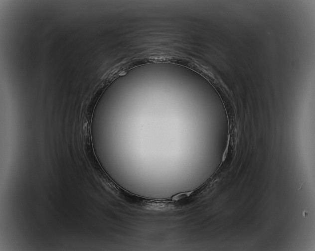 X0000085040521200703051028