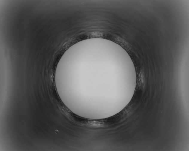 X0000085040522200703051028