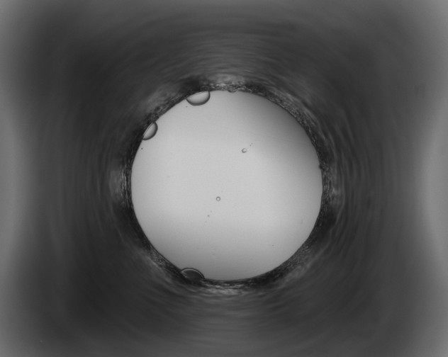 X0000085040523200703051028