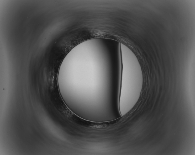 X0000085040525200703051028