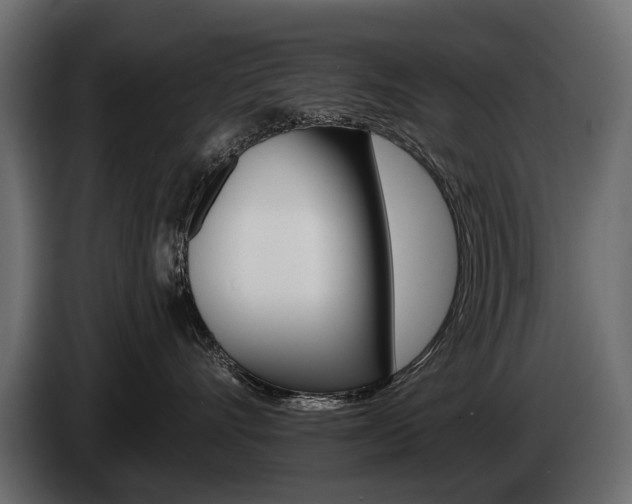 X0000085040528200703051028