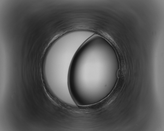 X0000085040530200703051027