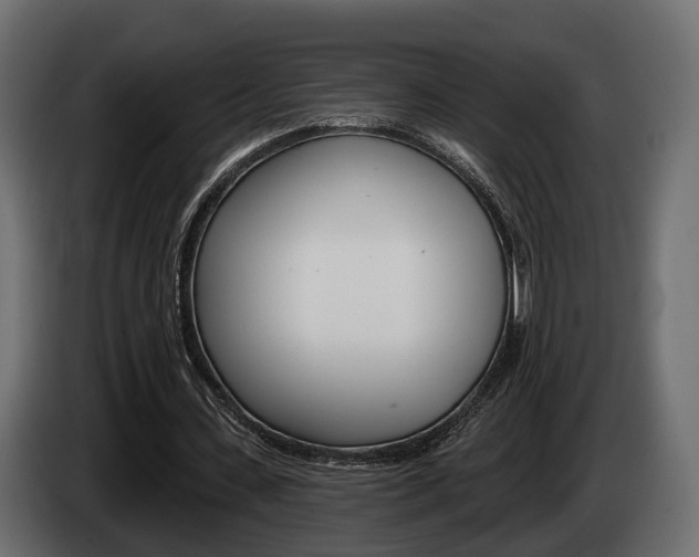 X0000085040531200703051027