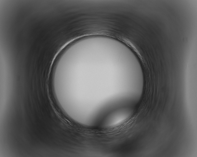 X0000085040532200703051027