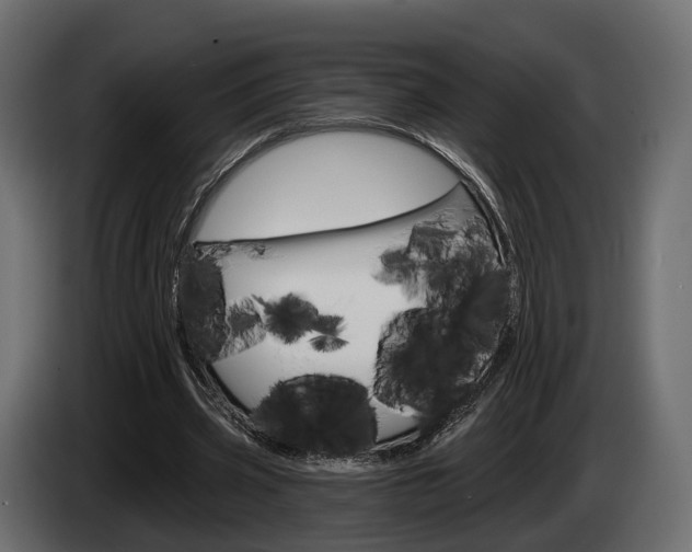 X0000085040533200703051027