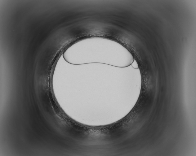 X0000085040534200703051027