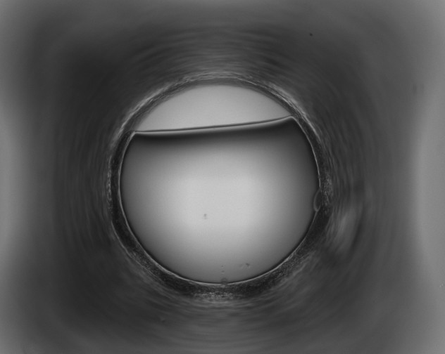 X0000085040535200703051027