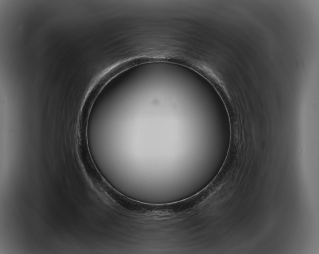 X0000085040536200703051027