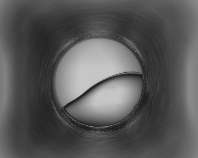 X0000085040538200703051027