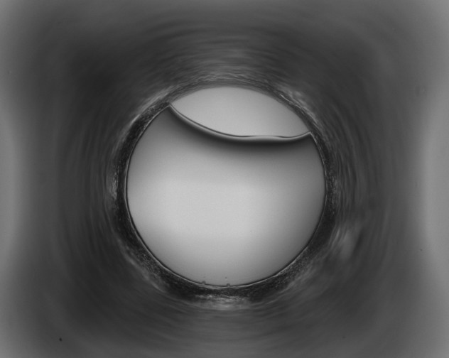 X0000085040539200703051027